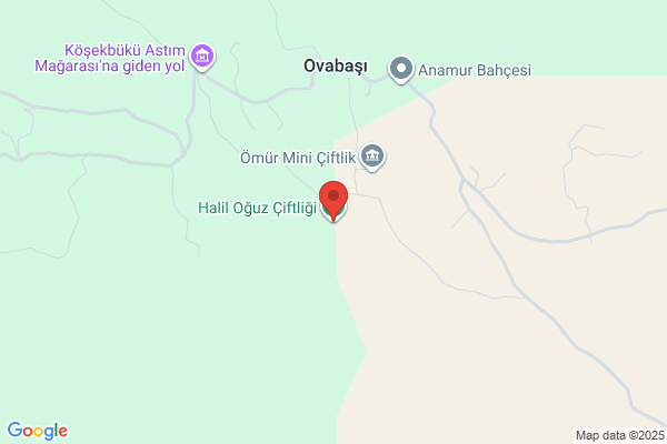 Gozsuzce Koyu Deniz Kaplumbagalari Dogal Hayati Kor. Der.