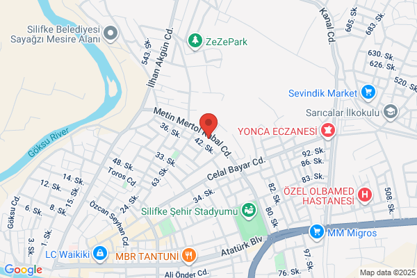 Silifke Muzik Folklor Dernegi