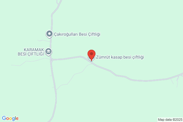 Zumrut Ciftlik Urunleri Uretm San.ltd.sti.