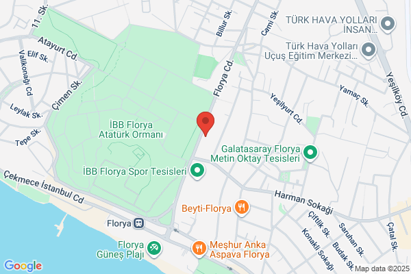 Çaniler Uluslararasi Tasimacilik Ltd Sti..