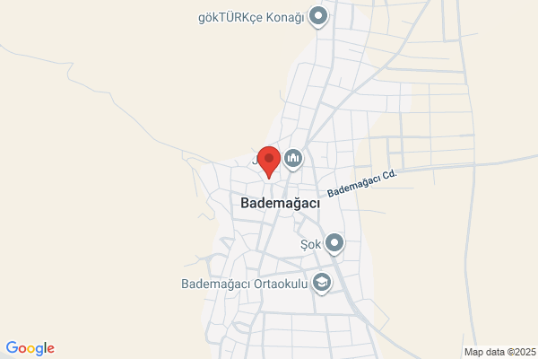 Bademagaci Belediye Baskani