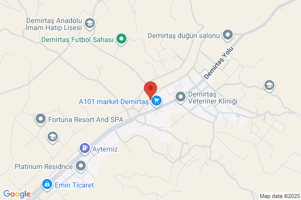 Demirtas Belediye Baskani