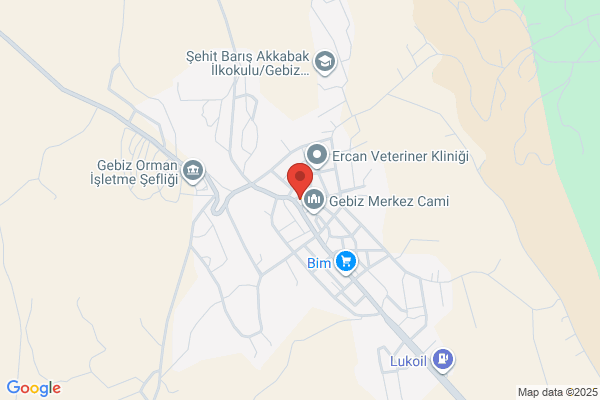 Gebiz Belediye Baskani