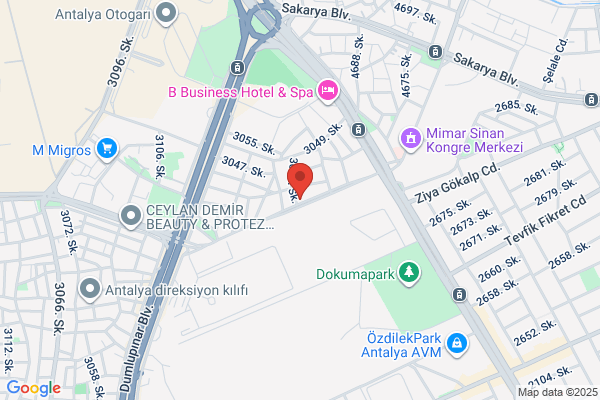 GÜney Otomotiv