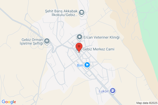 Albayrak Bilgi Islem Iletisim Sis.yazilim Don.servis Hiz.ltd.sti.