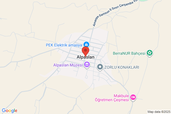 Alpaslan Belediye Baskani