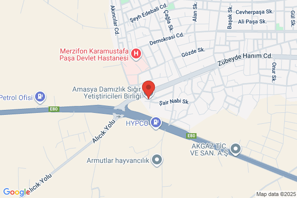 Merzifon Sabit Seyyar Sebzeci. Dernegi