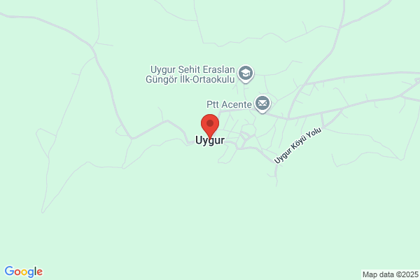 Uygur Belediye Baskani