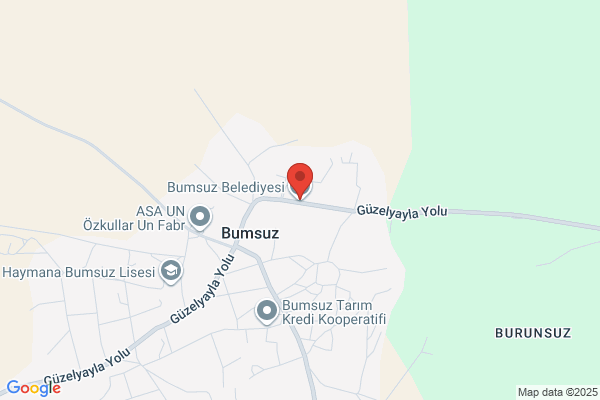 Bumsuz Belediye Baskani