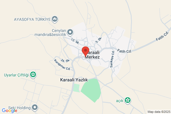 Karaali Belediye Baskani