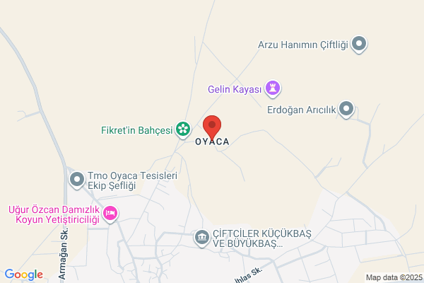 Oyaca Belediye Baskani