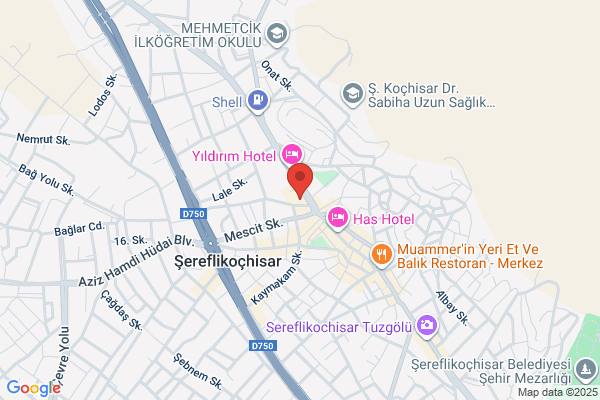 Sereflikoçhisar Belediye Baskani