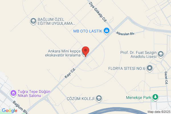 Cocuk Nefroloji Dernegi