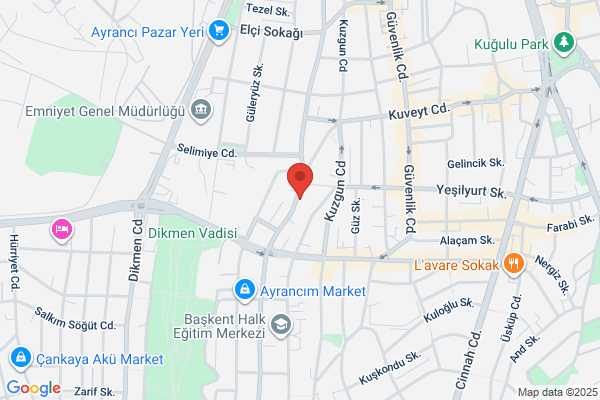 Sevgi Dogan Ltd.