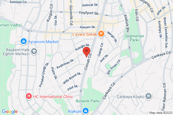 Kanada BÜyÜkelÇiligi