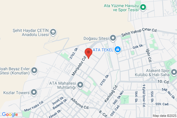 Egsas Electronics And Food Ind Inc.