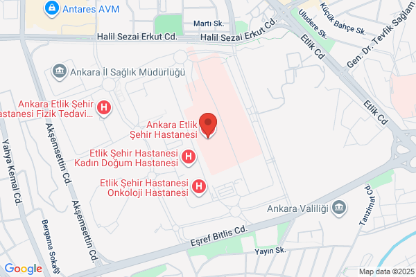 Firuze Çelik Sehir Planlama-ulasim Planlama