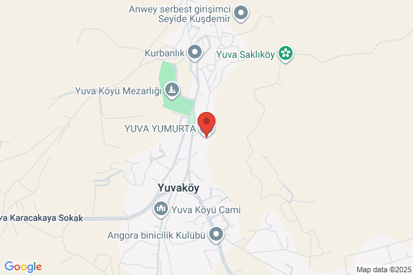 Y U M P A Yumurta Sanayi