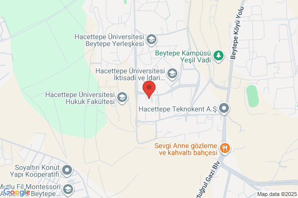 Hacettepe Univer. Muhendis. Fak. Vakfi
