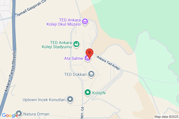 Ted Ankara Koleji Vakfi