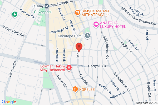 Alsu Turizm (ankara Sb.)