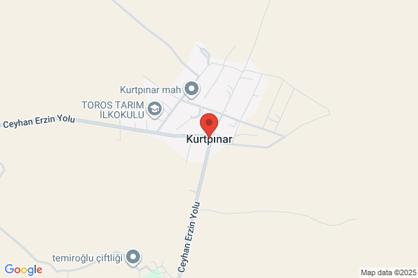 Kurtpinar Belediye Baskani