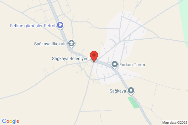 Sagkaya Belediye Baskani