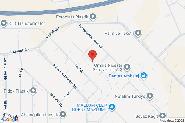 Izel Boya