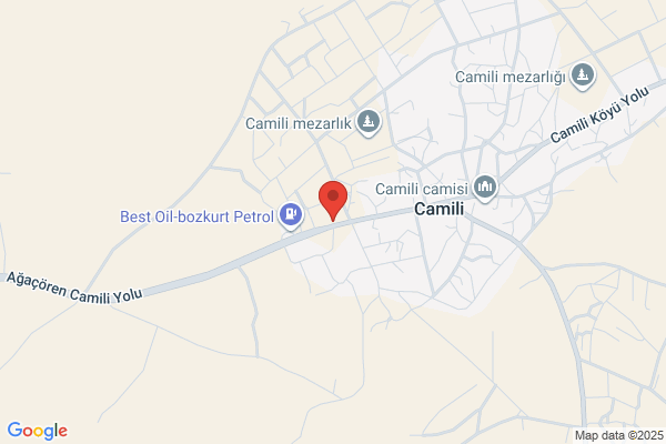 Camili Belediye Baskani