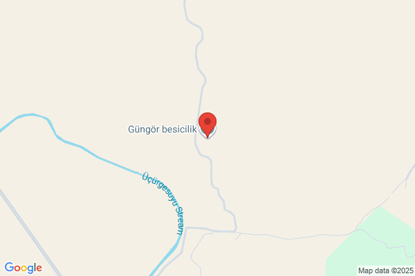 Gungor Besicilik