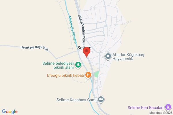Selim Belediye Baskani