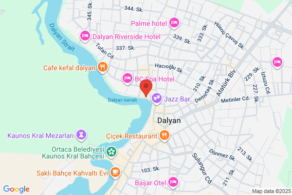 Dalyan Hotel Palmyra