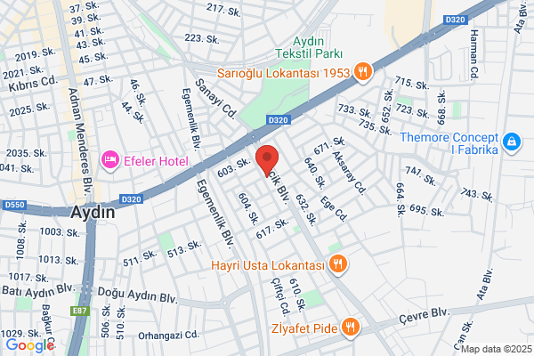 Oto Kolaylik