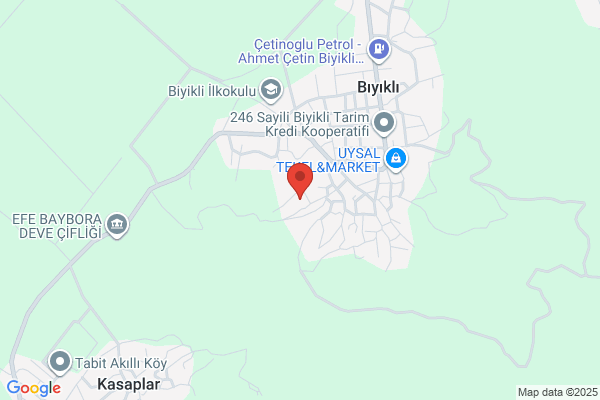 Biyikli Belediye Baskani