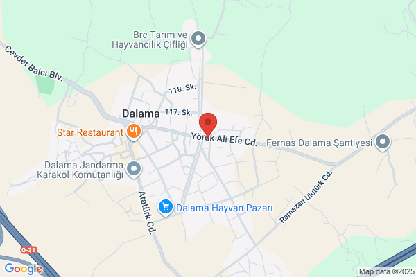 Yenipazar Belediye Baskani