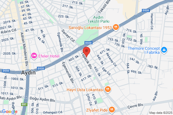 Femas Elektrik Motor Sanayi Ve Ticaret