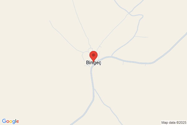 BingÜl San. Tic. Ltd. Sti.