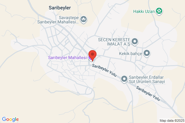 Saribeyler Belediye Baskani