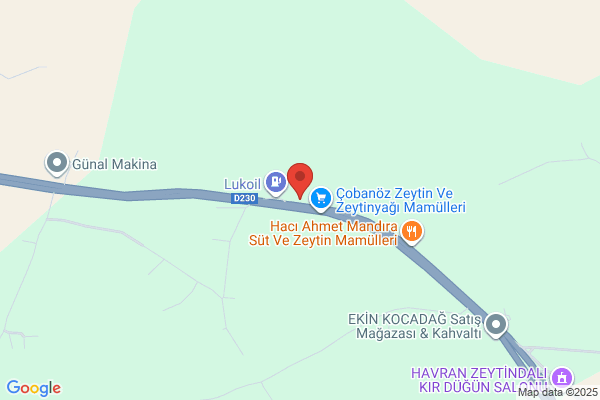 SeÇkin Zeytin Ve Zeytinyaglari