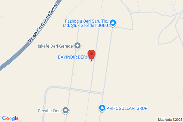 Baygin Deri Sanayi
