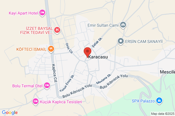 Karacasu Belediye Baskani