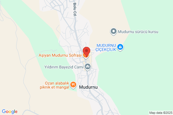 Mudurnu Belediye Baskani