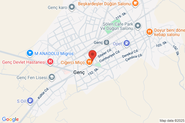Genç Belediye Baskani