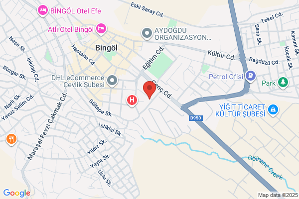 Servi Belediye Baskani