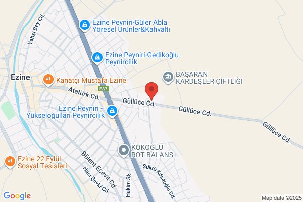Sezai Filiz Orman Unleri Ve Nakliye Ltd.sti.