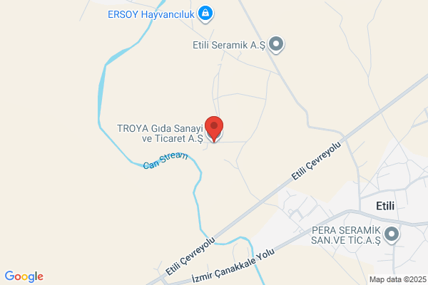 Troya Gida San Ve Tic A.s.
