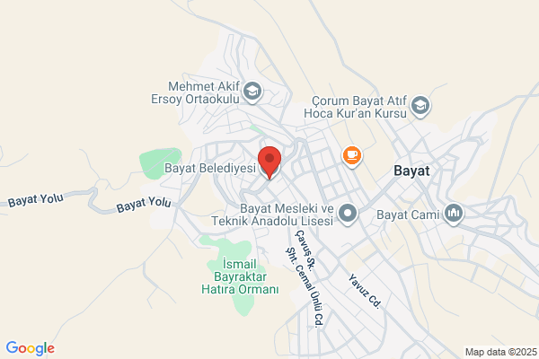Bayat Belediye Baskani
