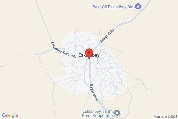 Eskialibey Belediye Baskani