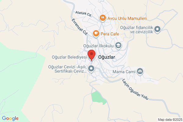 Oguzlar Belediye Baskani