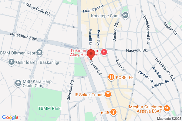 Holiday Inn Ankara - Kavaklidere, an IHG Hotel
